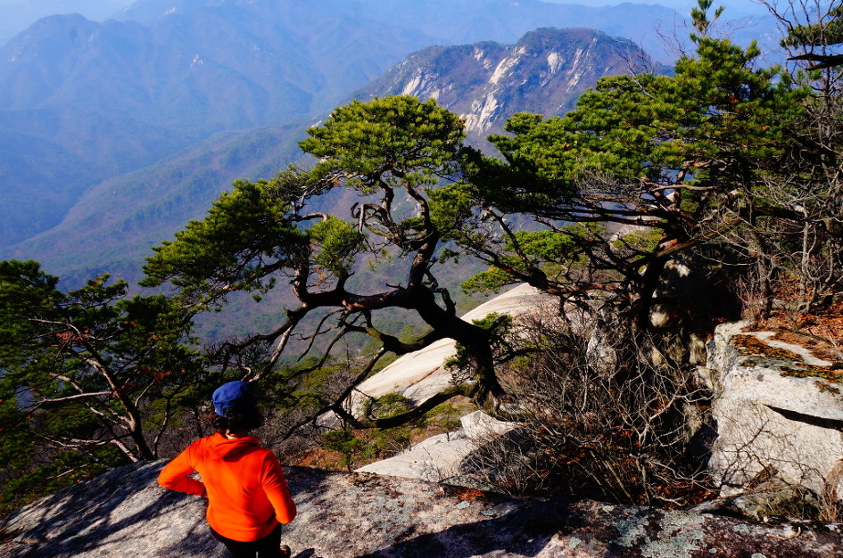 희양산의 하얀 속살을 어루만지며,,,