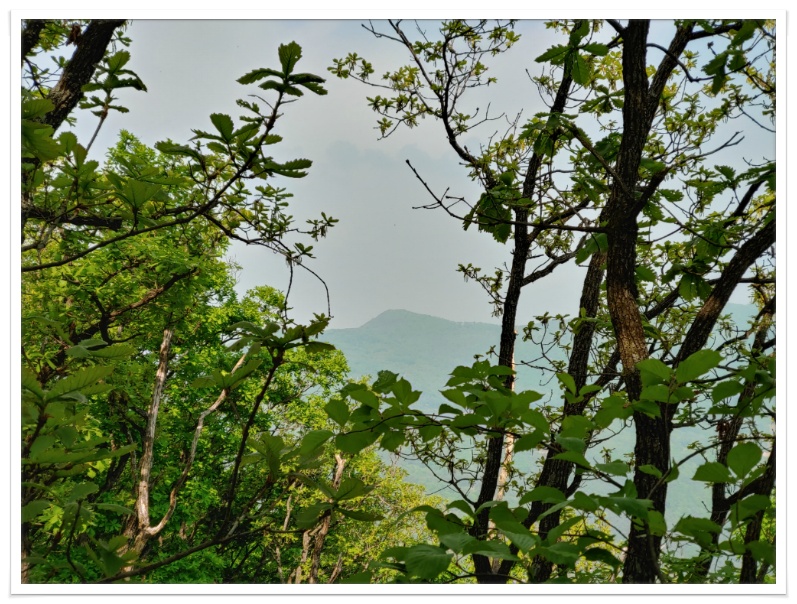 더블클릭을 하시면 이미지를 수정할 수 있습니다