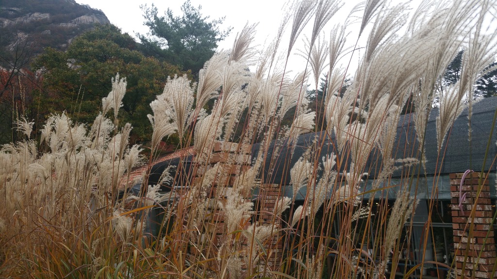 더블클릭을 하시면 이미지를 수정할 수 있습니다