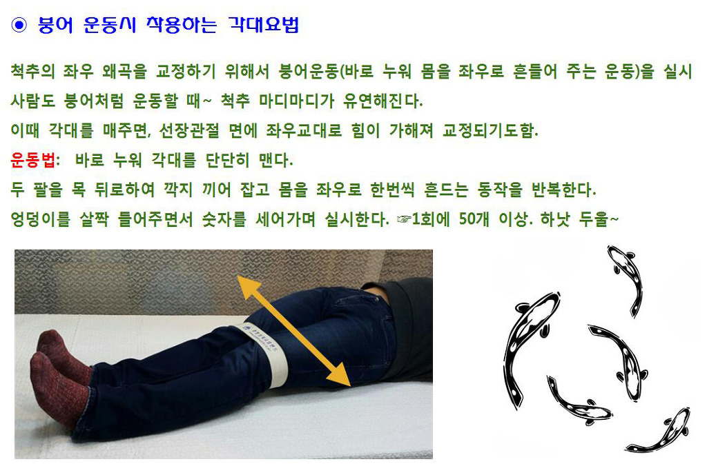 이미지 자세히보기