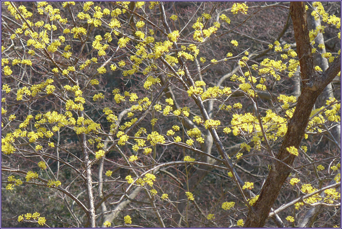 더블클릭을 하시면 이미지를 수정할 수 있습니다
