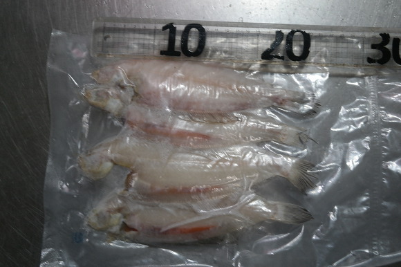 더블클릭을 하시면 이미지를 수정할 수 있습니다