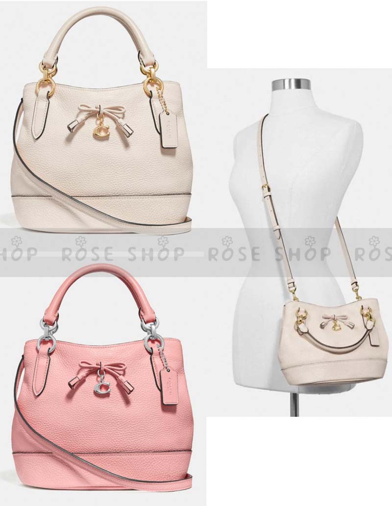 Micro ally store bucket bag coach