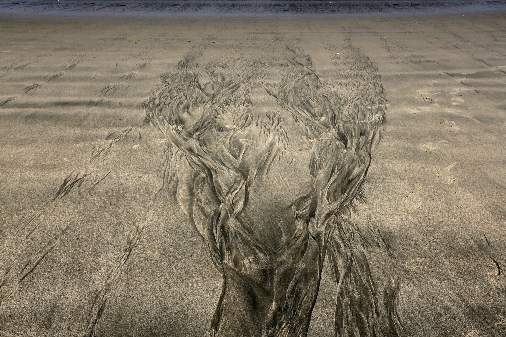 대이작도 풀등 정보 올려봅니다.