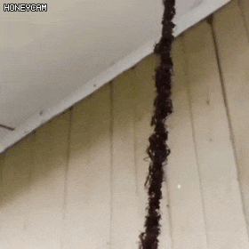 더블클릭을 하시면 이미지를 수정할 수 있습니다