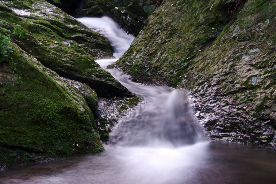 아흔아홉골에서 흐르는 水