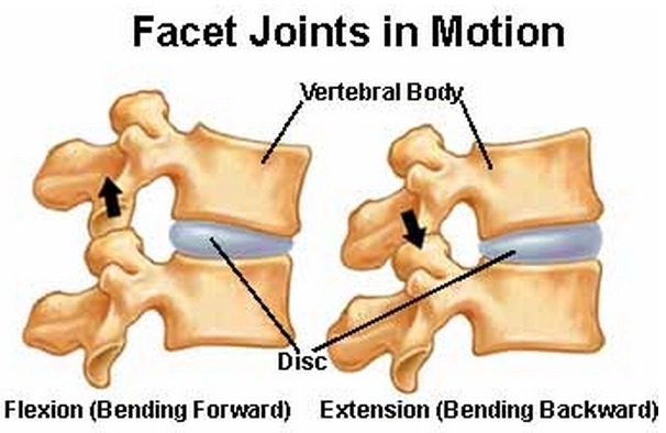 lumbar-pelvis-hip