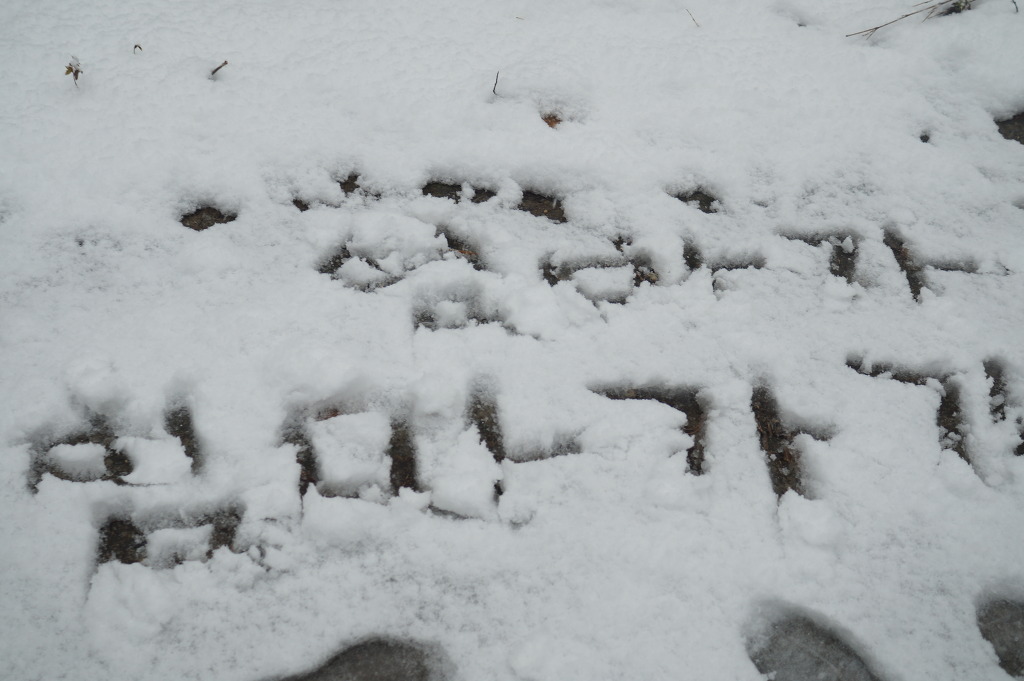 더블클릭을 하시면 이미지를 수정할 수 있습니다