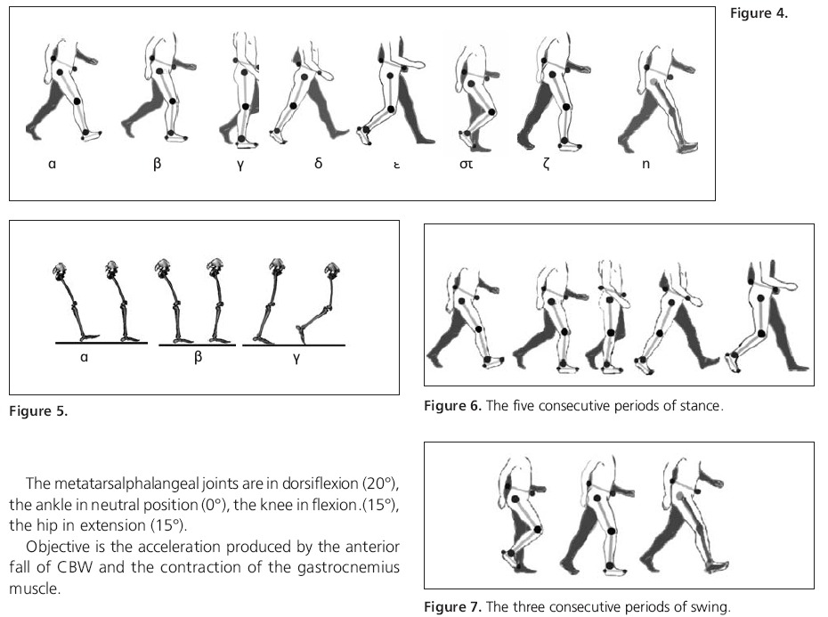 The biomechanics of running. normal gait, gait disturbance. 한글 파일 자료 짱 ...