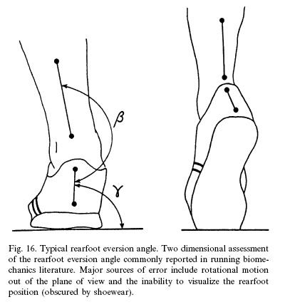 The biomechanics of running. normal gait, gait disturbance. 한글 파일 자료 짱 ...