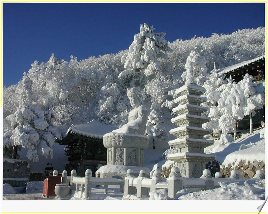 더블클릭을 하시면 이미지를 수정할 수 있습니다