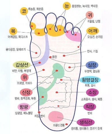 발 지압 - 발과 건강 - 발지압판