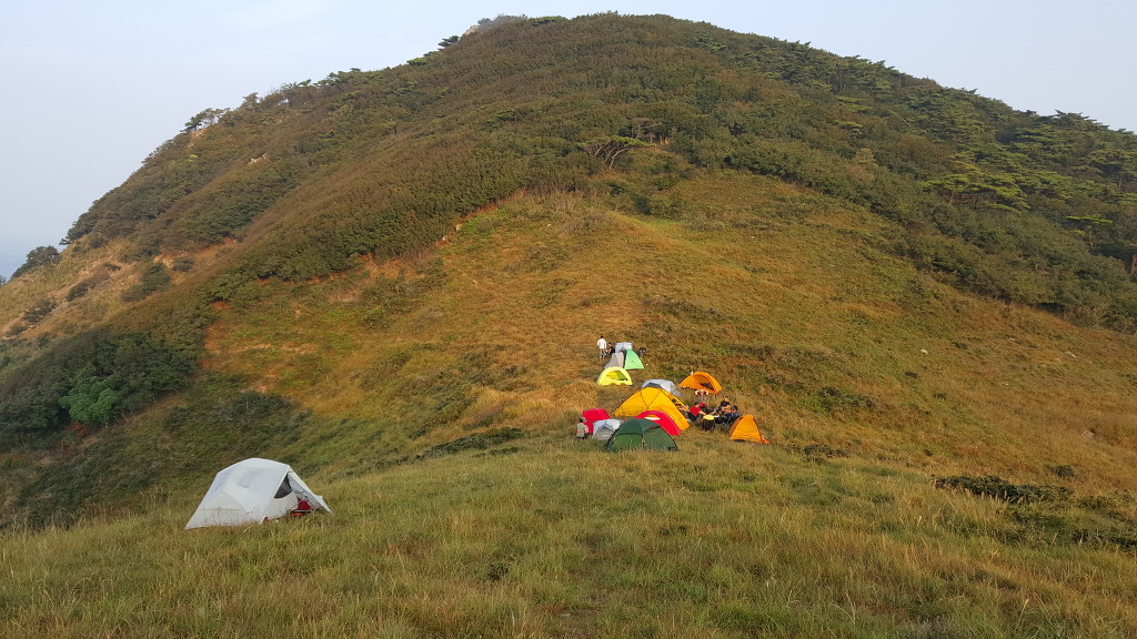선미도 가을 여행