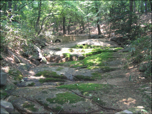 달밤에 목욕하는 여자