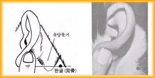 더블클릭을 하시면 이미지를 수정할 수 있습니다