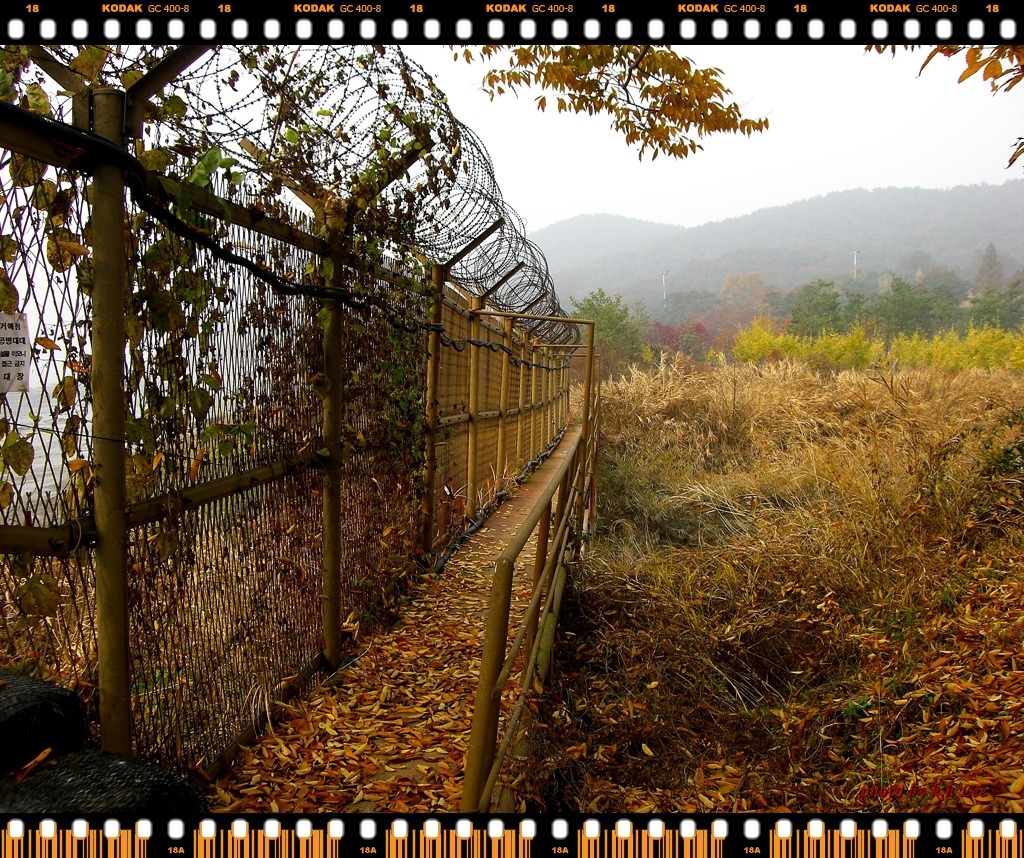 2011년 11월 재향군인회산악회 정기산행(김포 평화누리길)