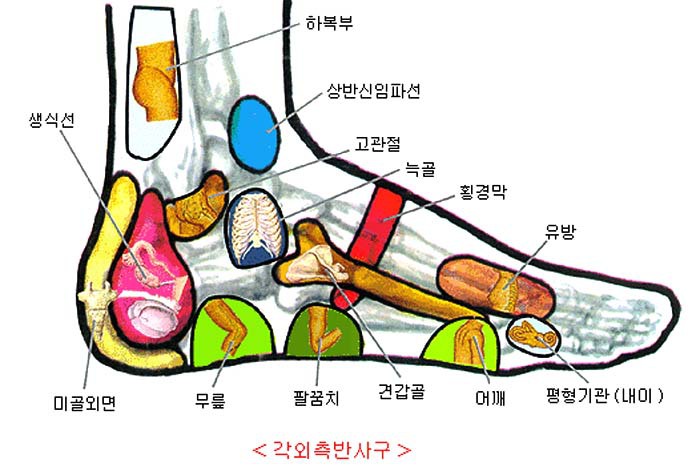 발지압과 건강 - 건강코너 - 금정산악회