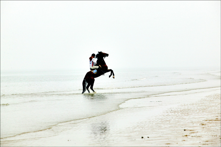 신안군 임자도에서 승마대회