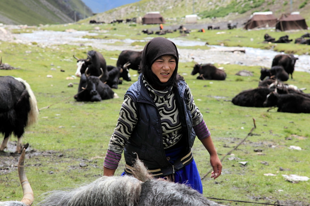 중국/티벳: 유목민 텐트에서