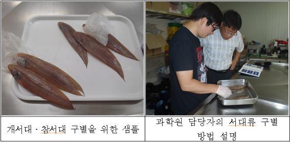 무궁화 21호, 서대류(개서대․참서대) 구별 방법 조사 - 어업지도선 활동 - 우리바다 우리어업
