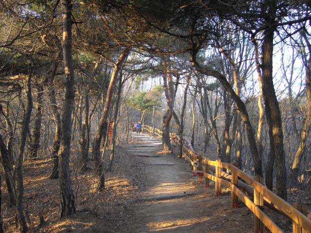 김신조 루트(북악산-북악스카이웨이 제2코스)