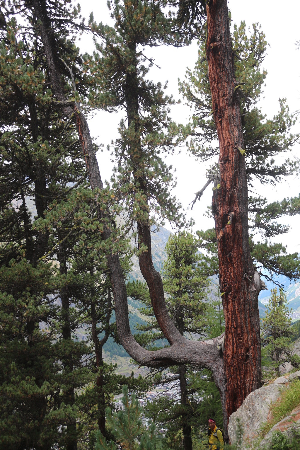 더블클릭을 하시면 이미지를 수정할 수 있습니다