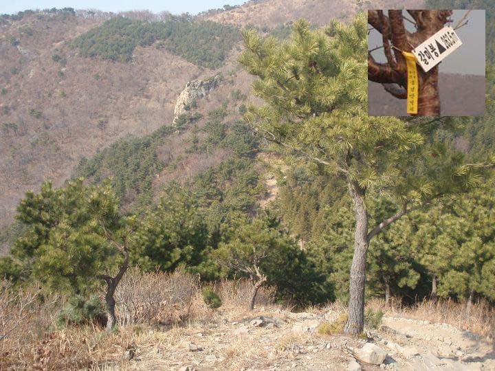 더블클릭을 하시면 이미지를 수정할 수 있습니다