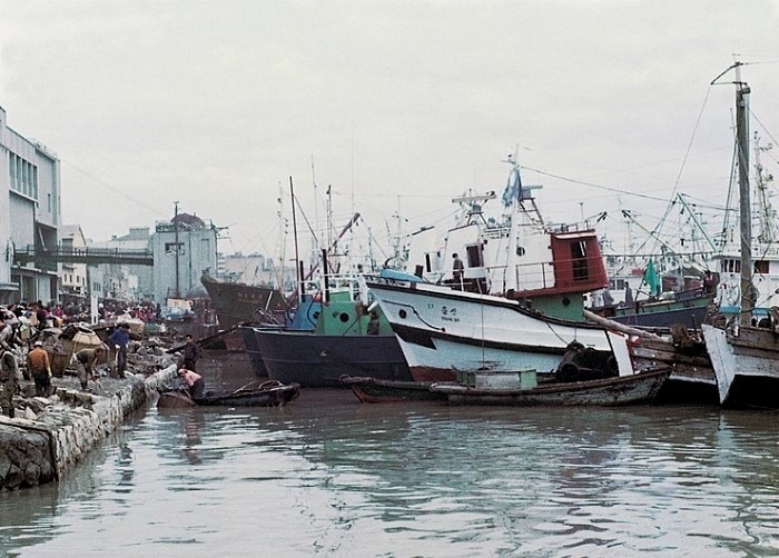 자갈치시장의 유래