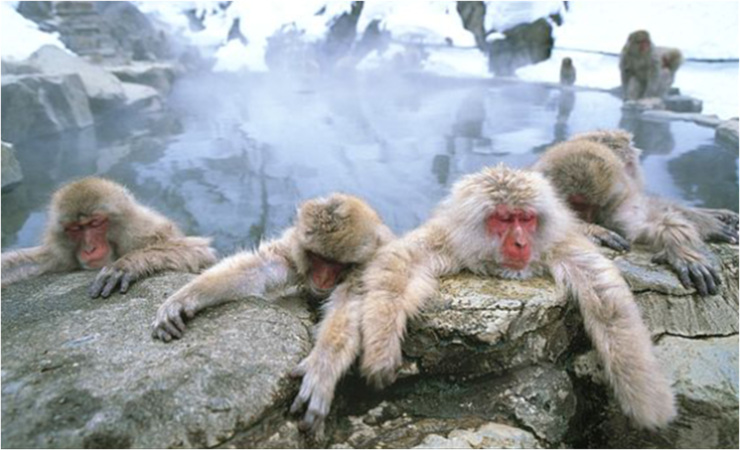 더블클릭을 하시면 이미지를 수정할 수 있습니다