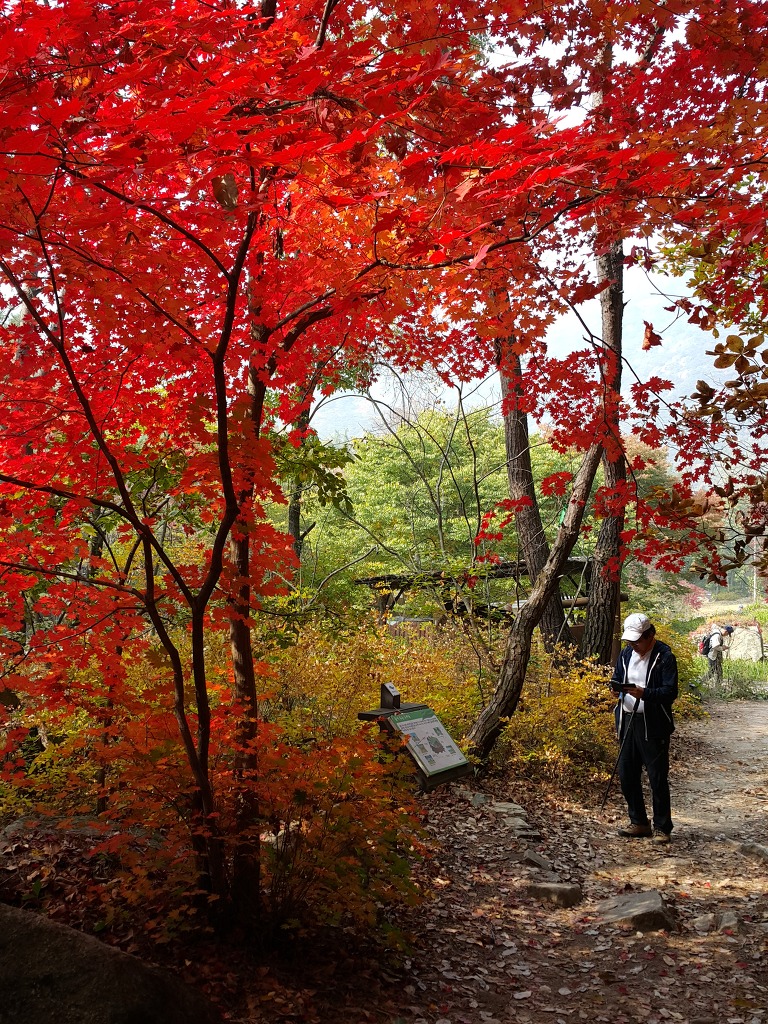 더블클릭을 하시면 이미지를 수정할 수 있습니다