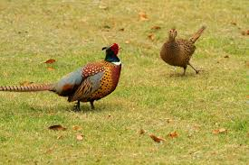 더블클릭을 하시면 이미지를 수정할 수 있습니다
