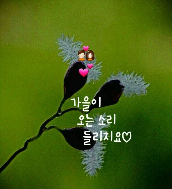 가을이 오는소리~