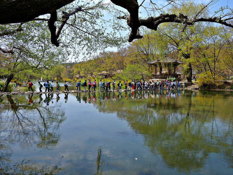 용인 민속촌의 봄 풍경..!!