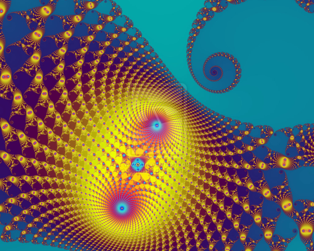 프랙탈의 공포 혹은 아름다움 - 유쾌방 - 엽기 혹은 진실 (세상 모든 즐거움이 모이는 곳)