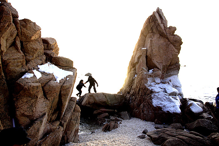 을왕리선녀바위의 락조