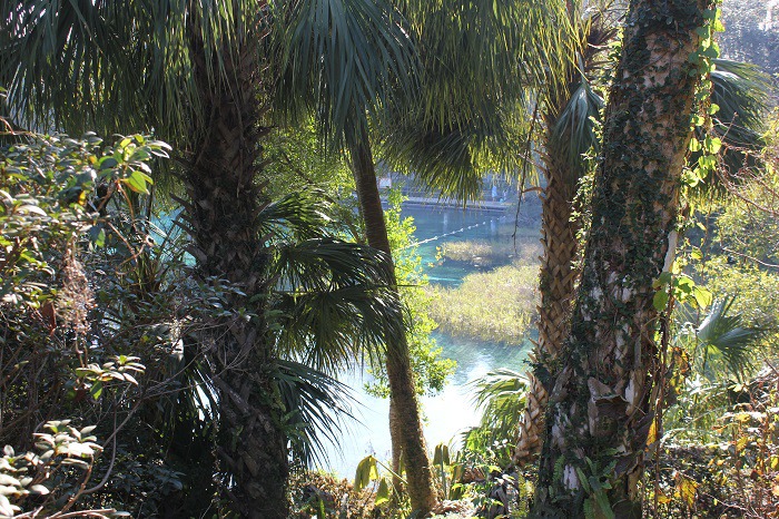 더블클릭을 하시면 이미지를 수정할 수 있습니다