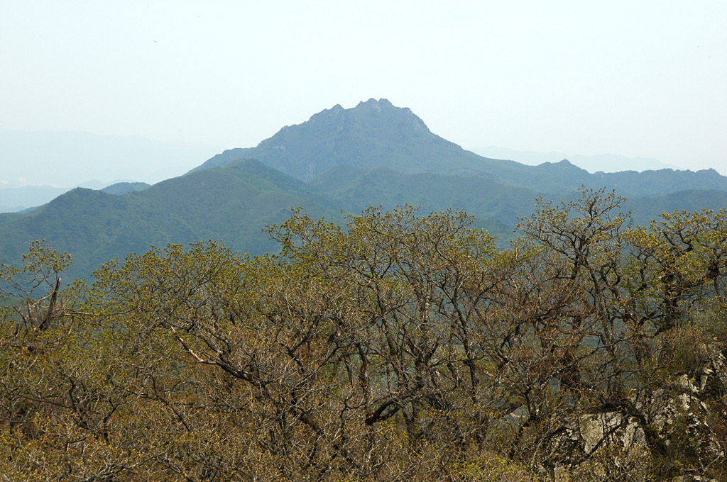 더블클릭을 하시면 이미지를 수정할 수 있습니다