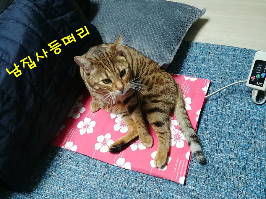 더블클릭을 하시면 이미지를 수정할 수 있습니다