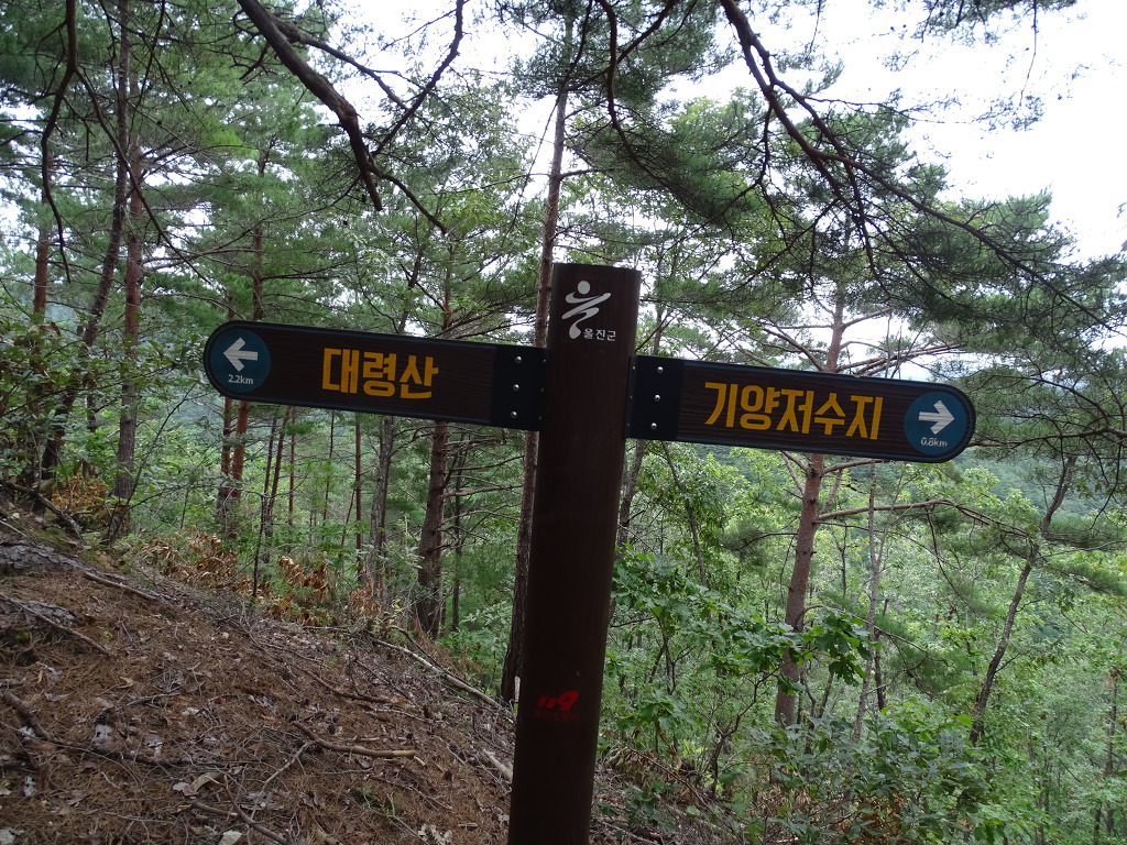 더블클릭을 하시면 이미지를 수정할 수 있습니다