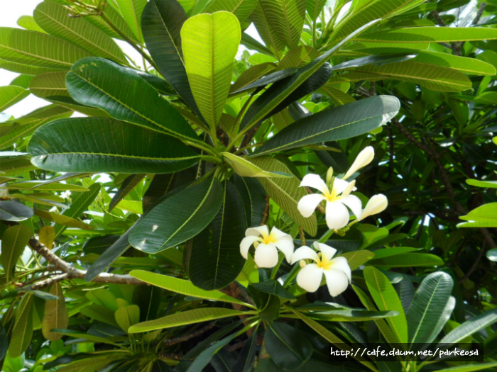더블클릭을 하시면 이미지를 수정할 수 있습니다