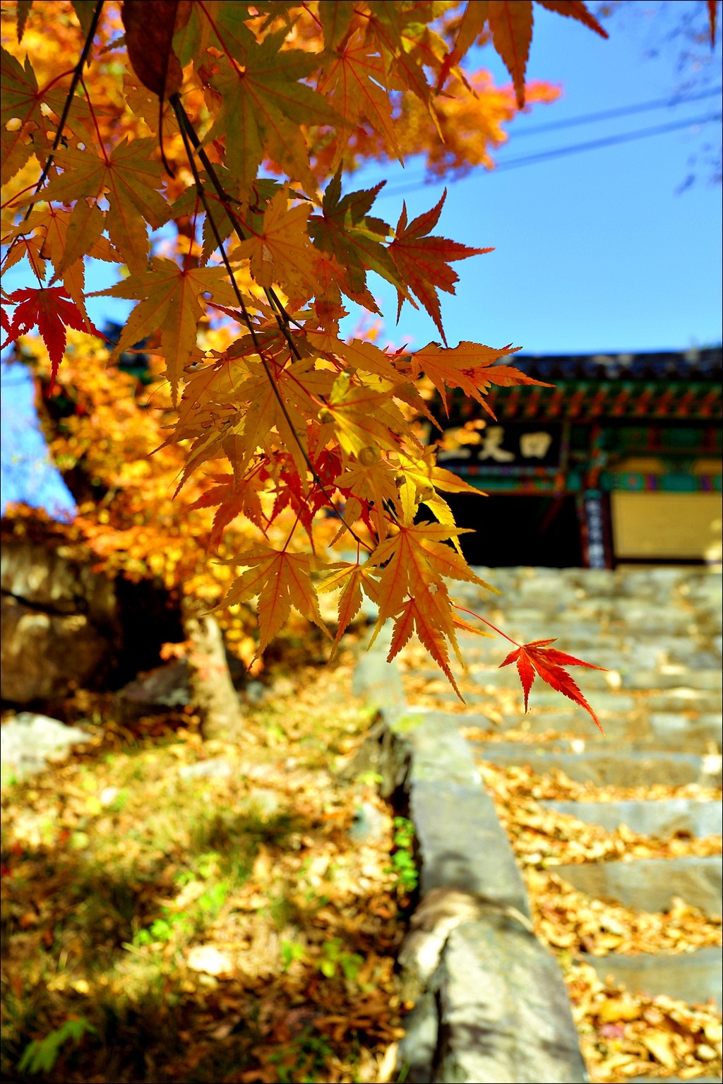 더블클릭을 하시면 이미지를 수정할 수 있습니다