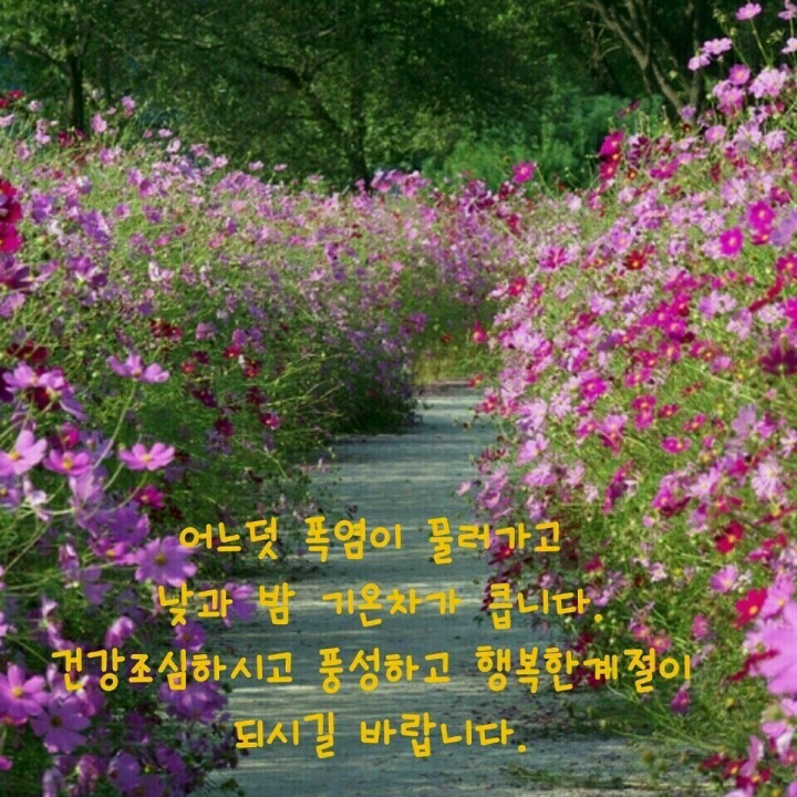 내 나이 가을에서야