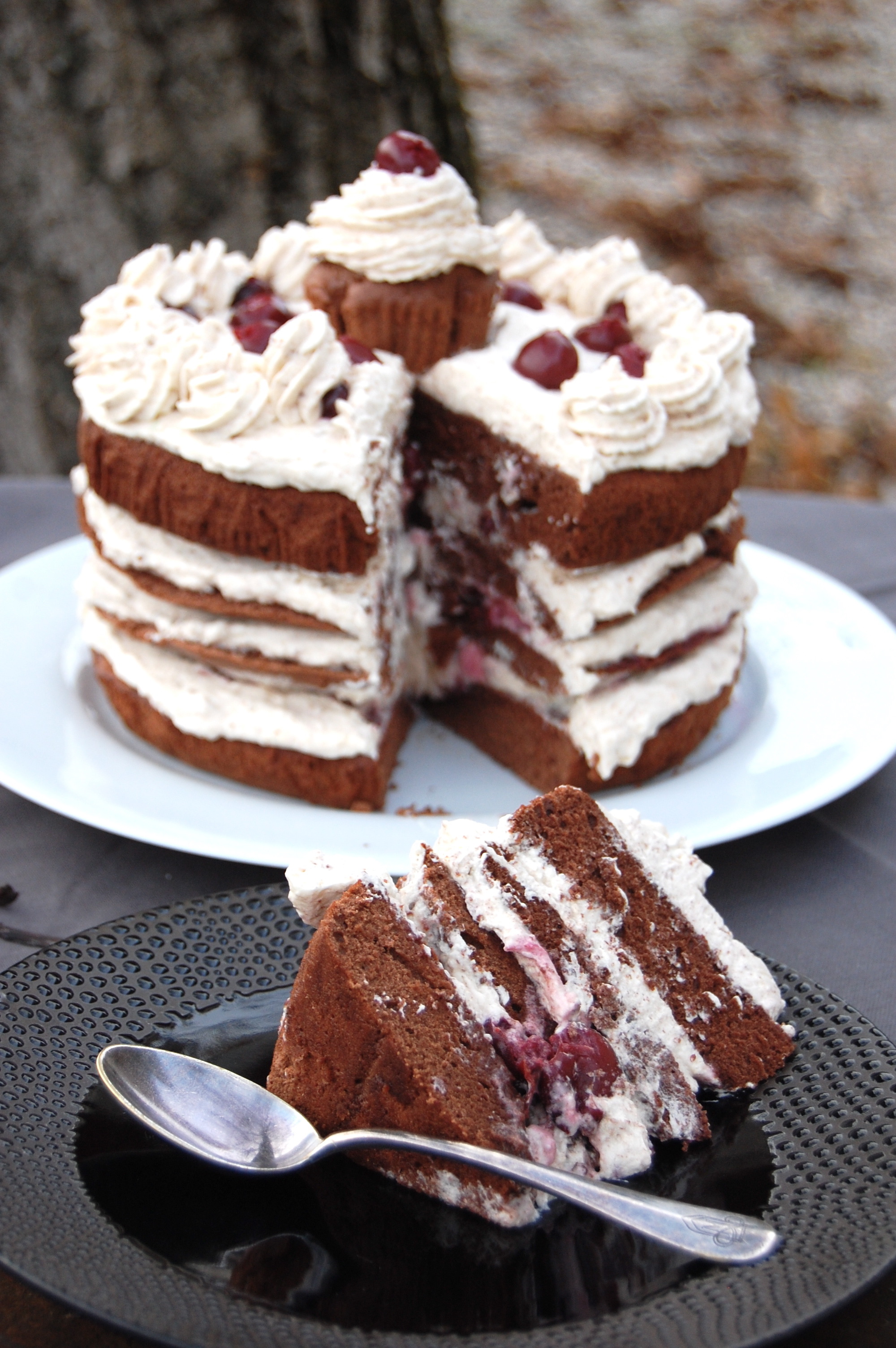 케익계의 검은 숲, 포레누아(for?t noire) - 악플달면 쩌리쩌려버려 - ＊여성시대＊ 차분한 20대들의 알흠다운 공간