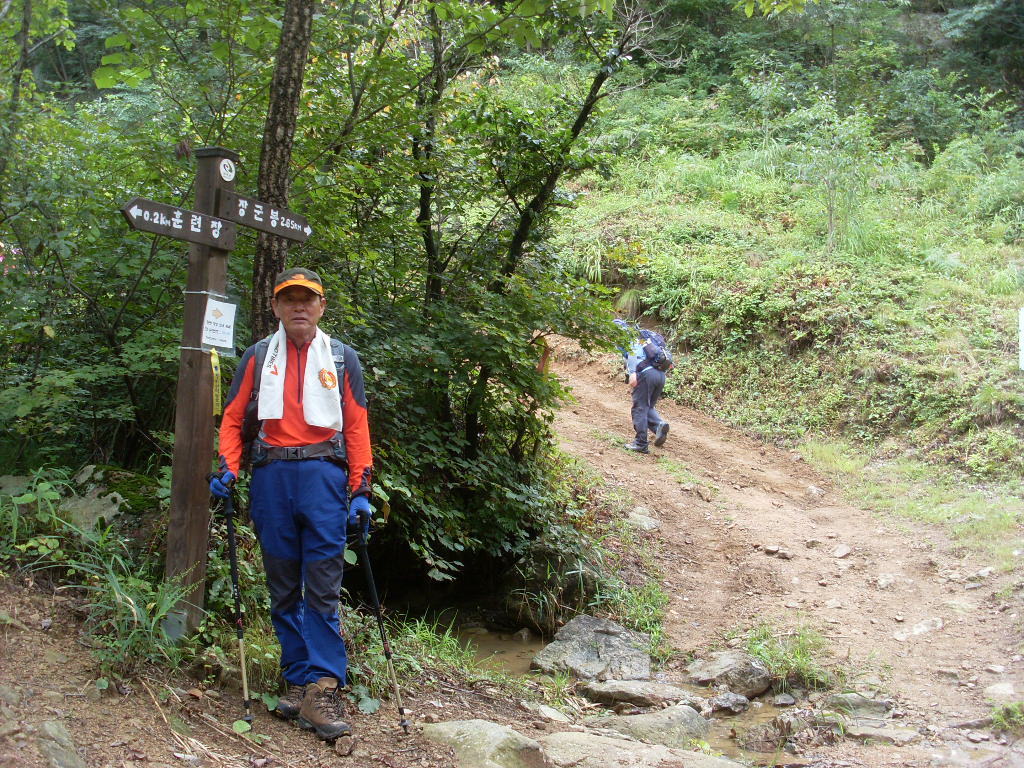 더블클릭을 하시면 이미지를 수정할 수 있습니다