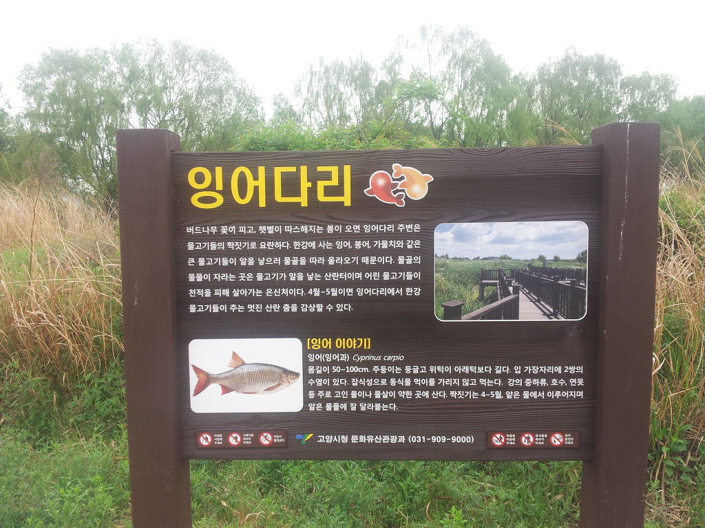 더블클릭을 하시면 이미지를 수정할 수 있습니다