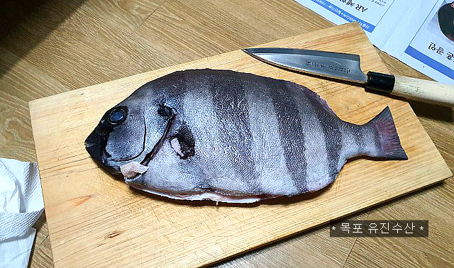 [추가] 돌돔(줄돔),금풍생이(딱돔),참돔,우럭,농어,민어,잡어 - 오늘의 판매생선 - 목포유진수산(생선카페)