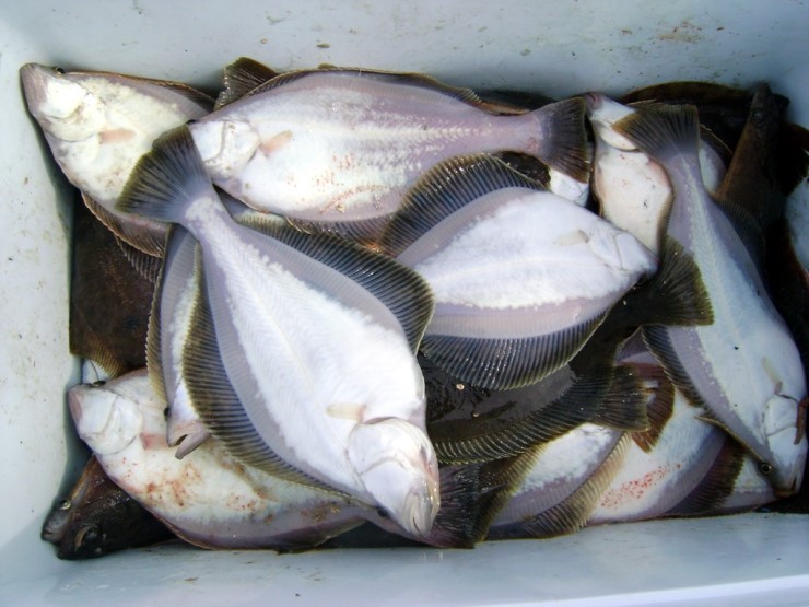 더블클릭을 하시면 이미지를 수정할 수 있습니다