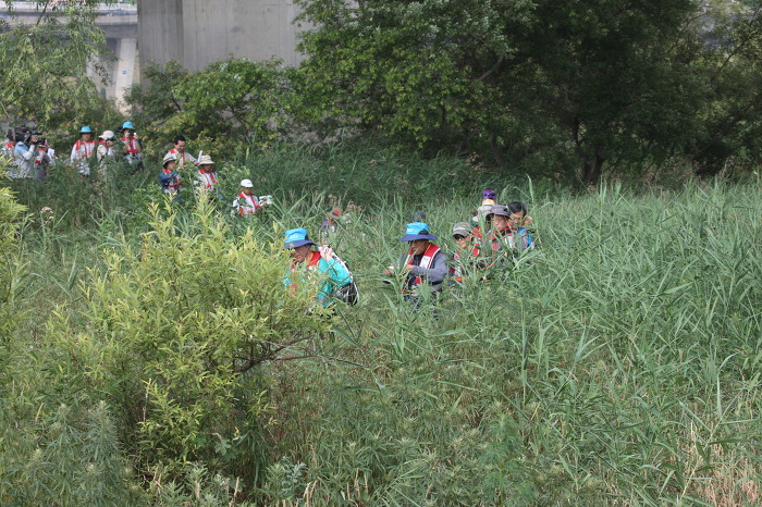 조선왕실의 뽕나무재배단지 밤섬