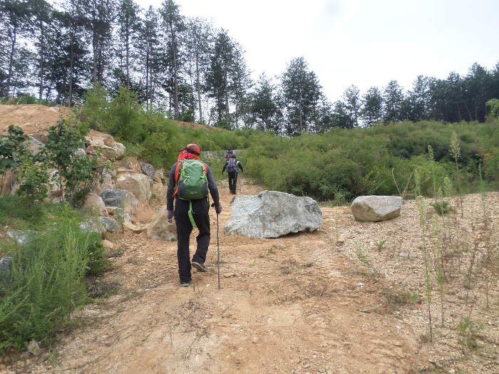 더블클릭을 하시면 이미지를 수정할 수 있습니다