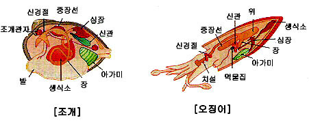 더블클릭을 하시면 이미지를 수정할 수 있습니다